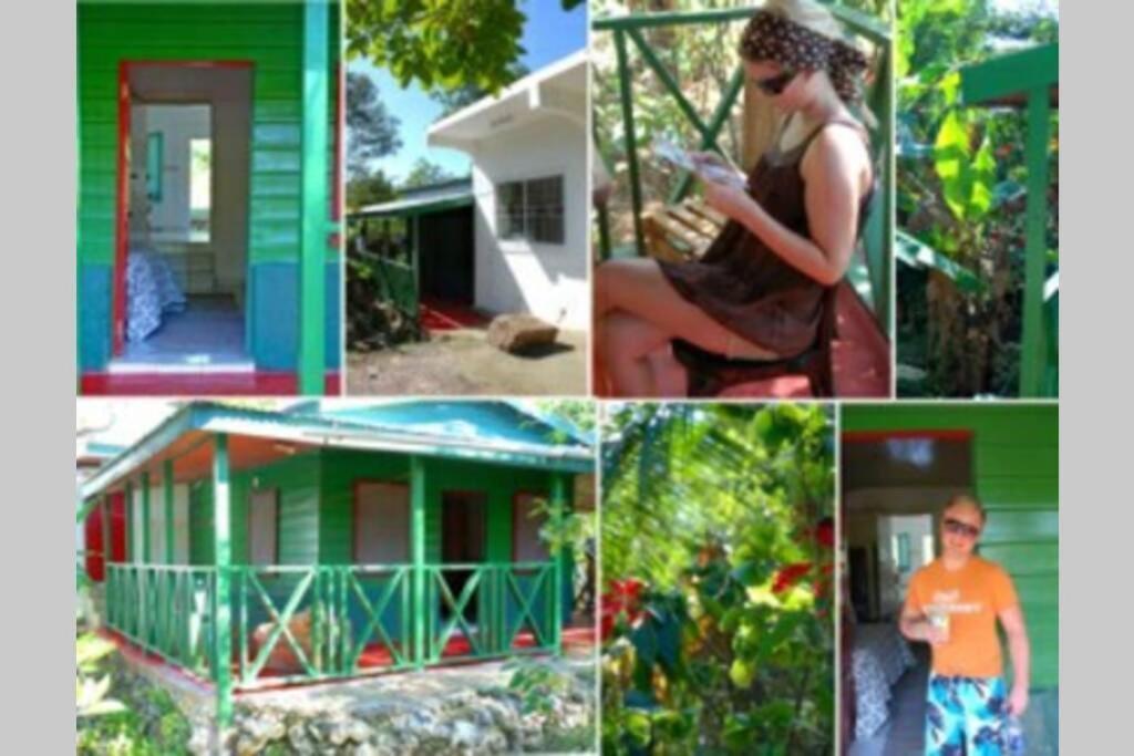 Moves Rasta * Negril
