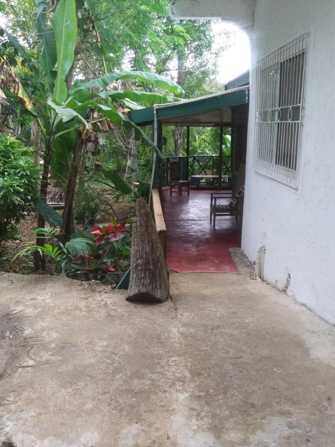 Moves Rasta Holiday home