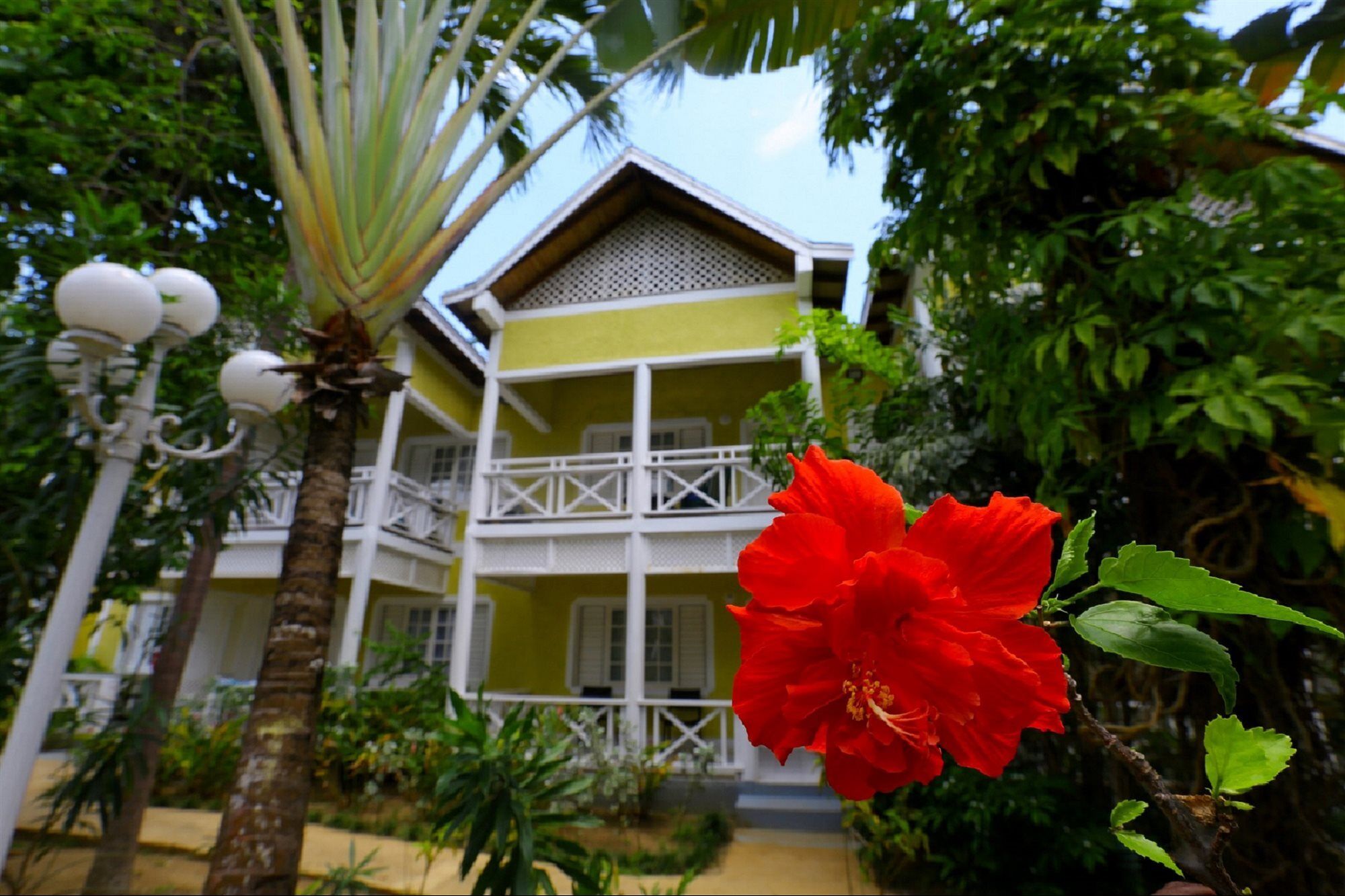Merrils Lll Negril