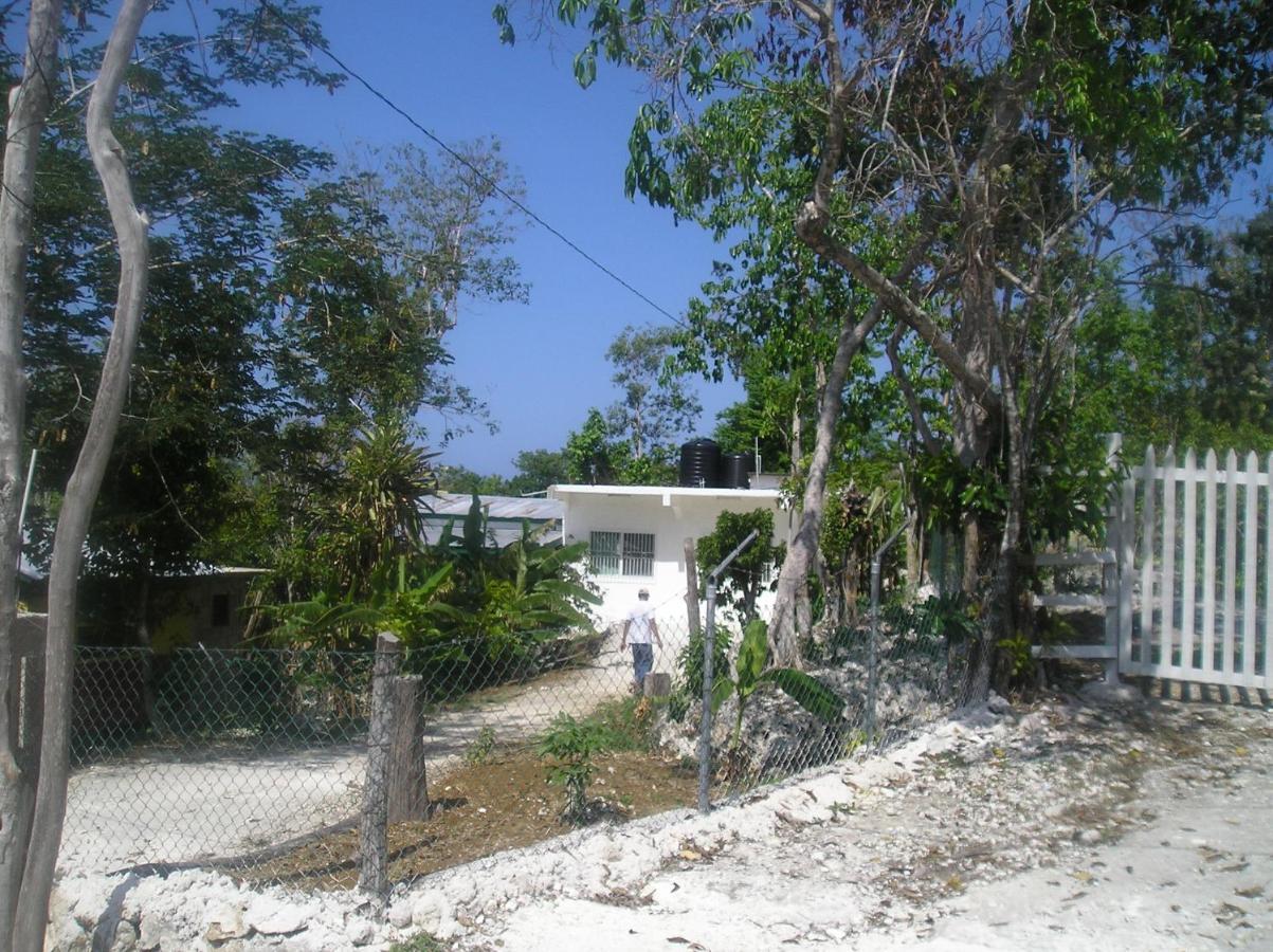 Holiday home Moves Rasta Negril