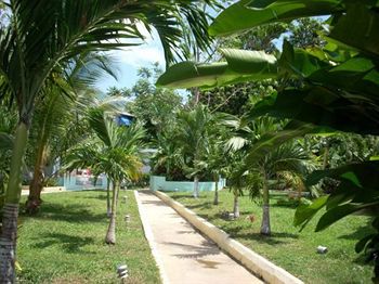 Eddies Tigress 2 Guest house 3*