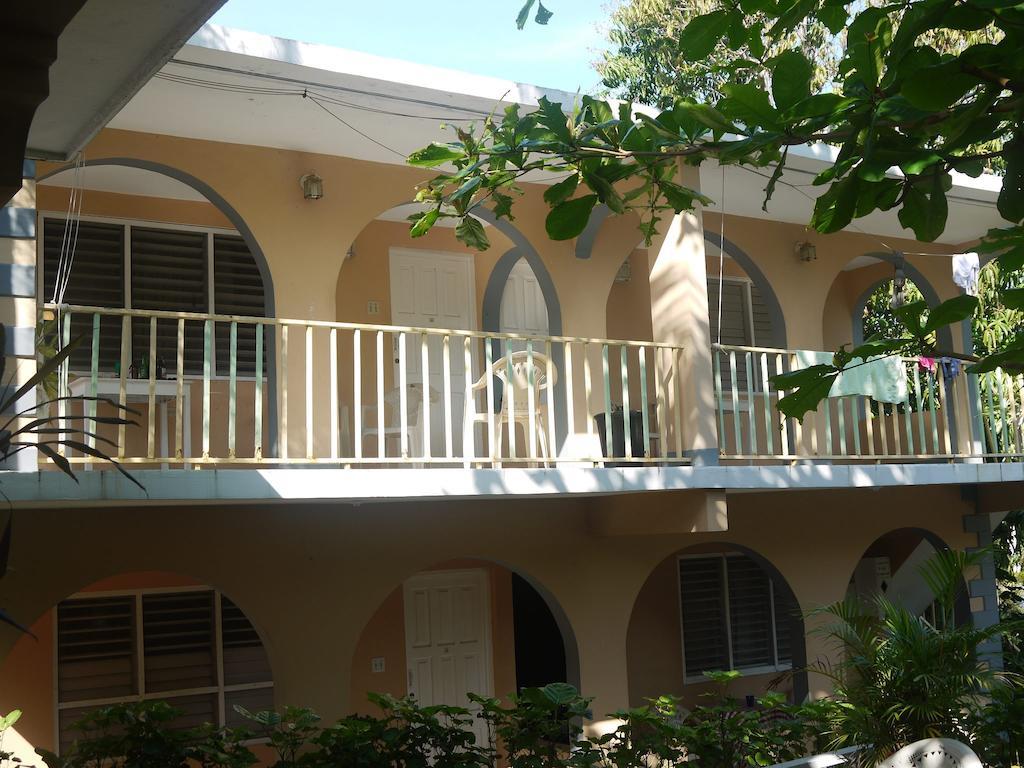 Eddies Tigress 2 Negril