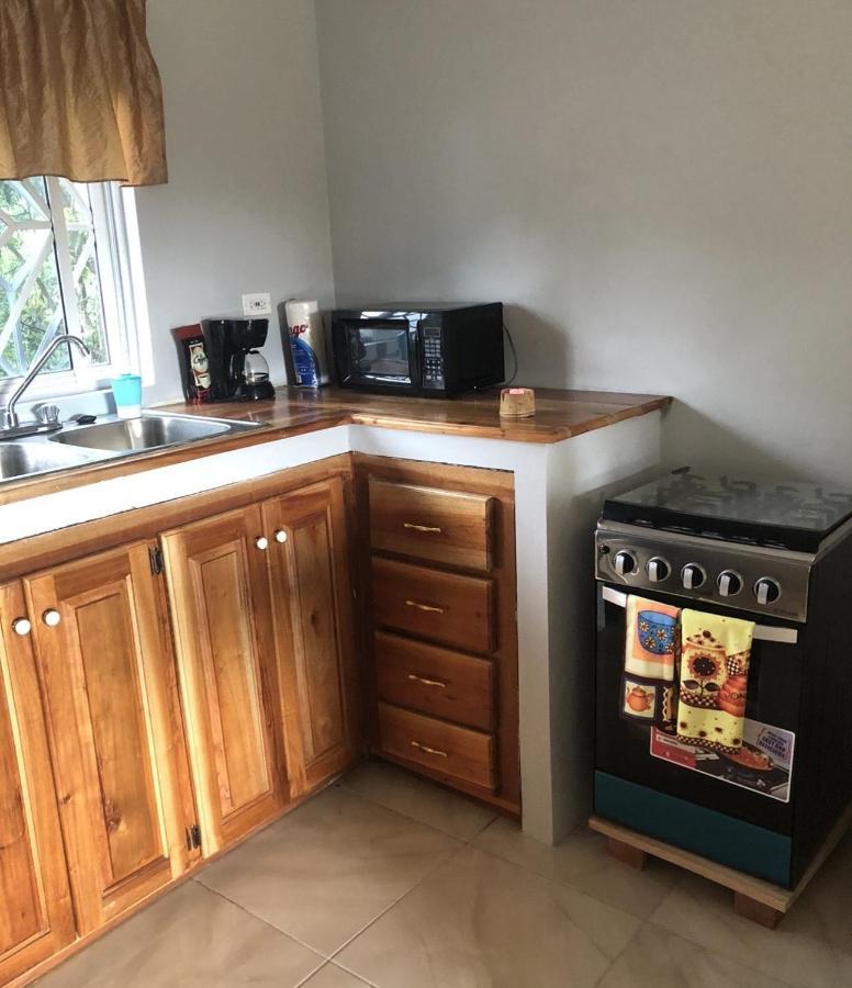 Apartment Seacret - Cozy Jamaican Retreat Apts