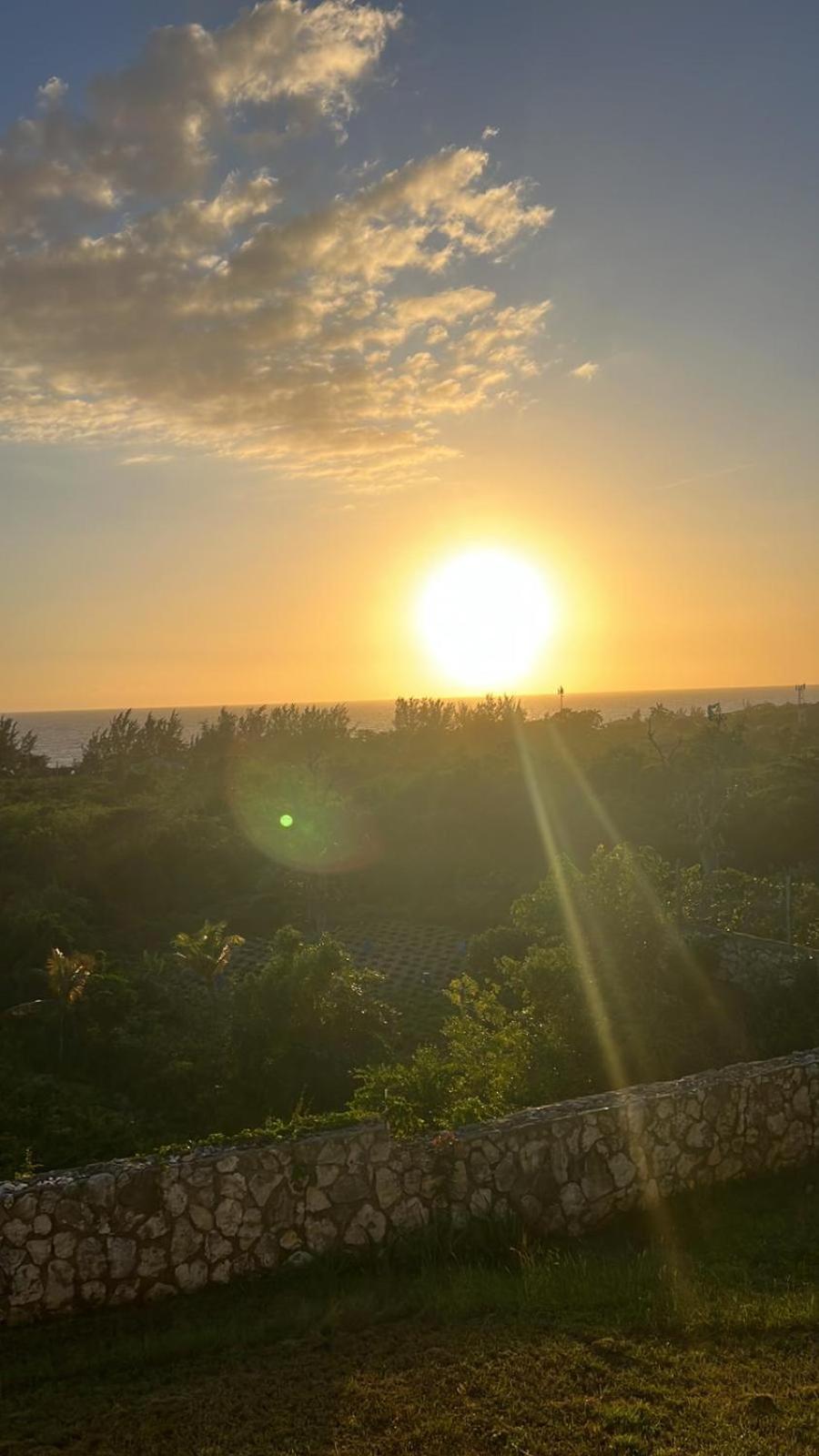 Zuri Enterprise Negril