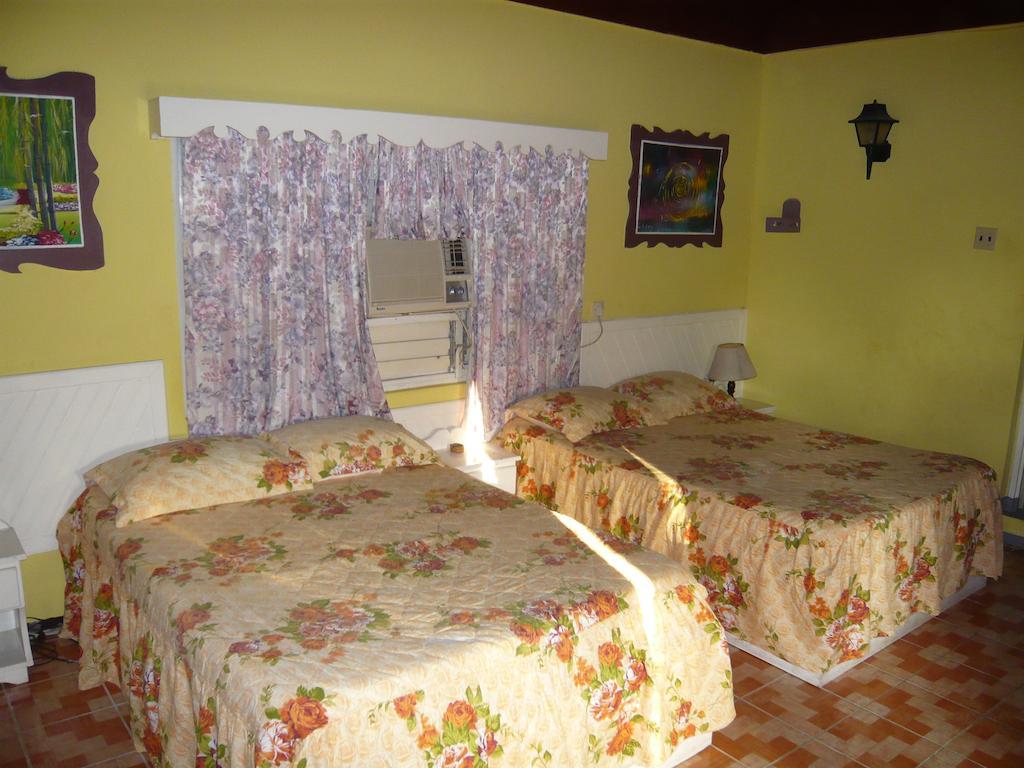 Guest house Eddies Tigress 2 3*