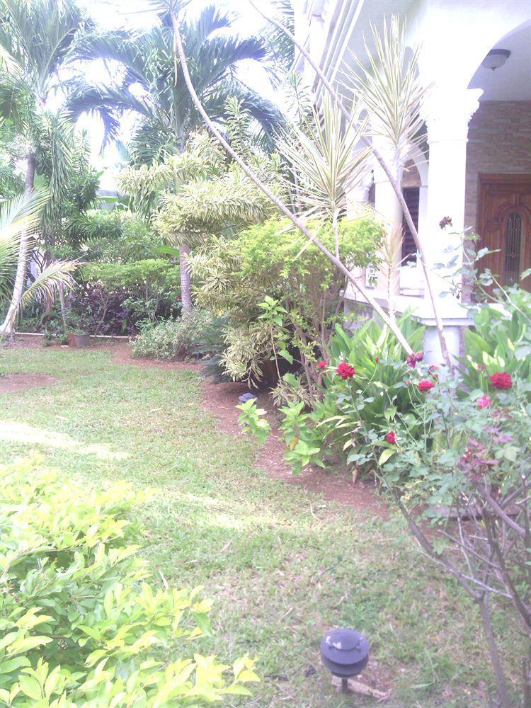 Eddies Tigress 2 Guest house 3*
