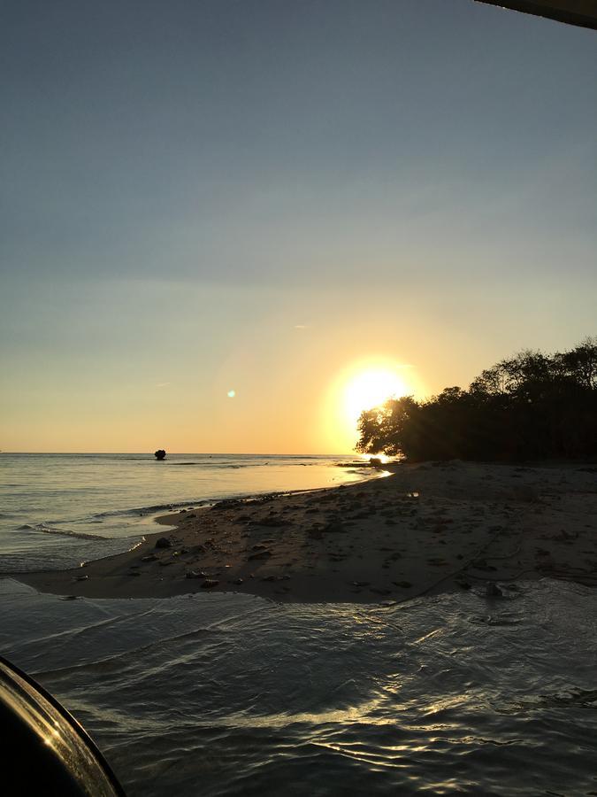 Tropical Breeze Gasthof Negril
