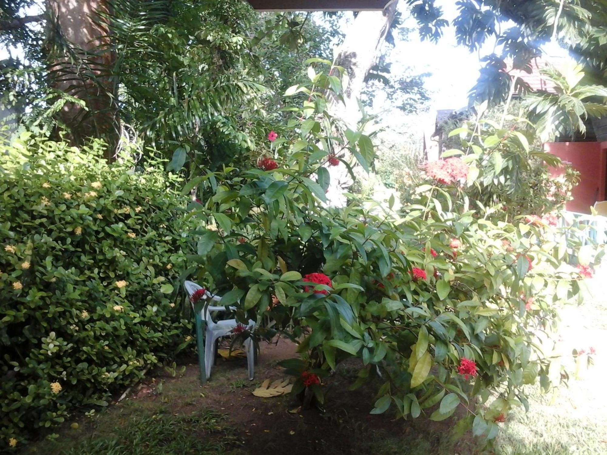 Firefly Negril