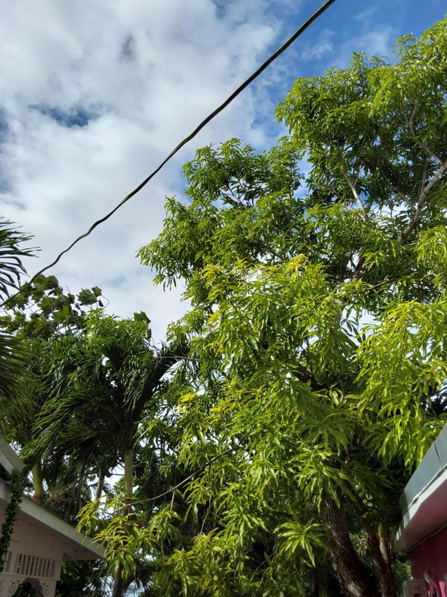 Shades Of Summer Ja Negril