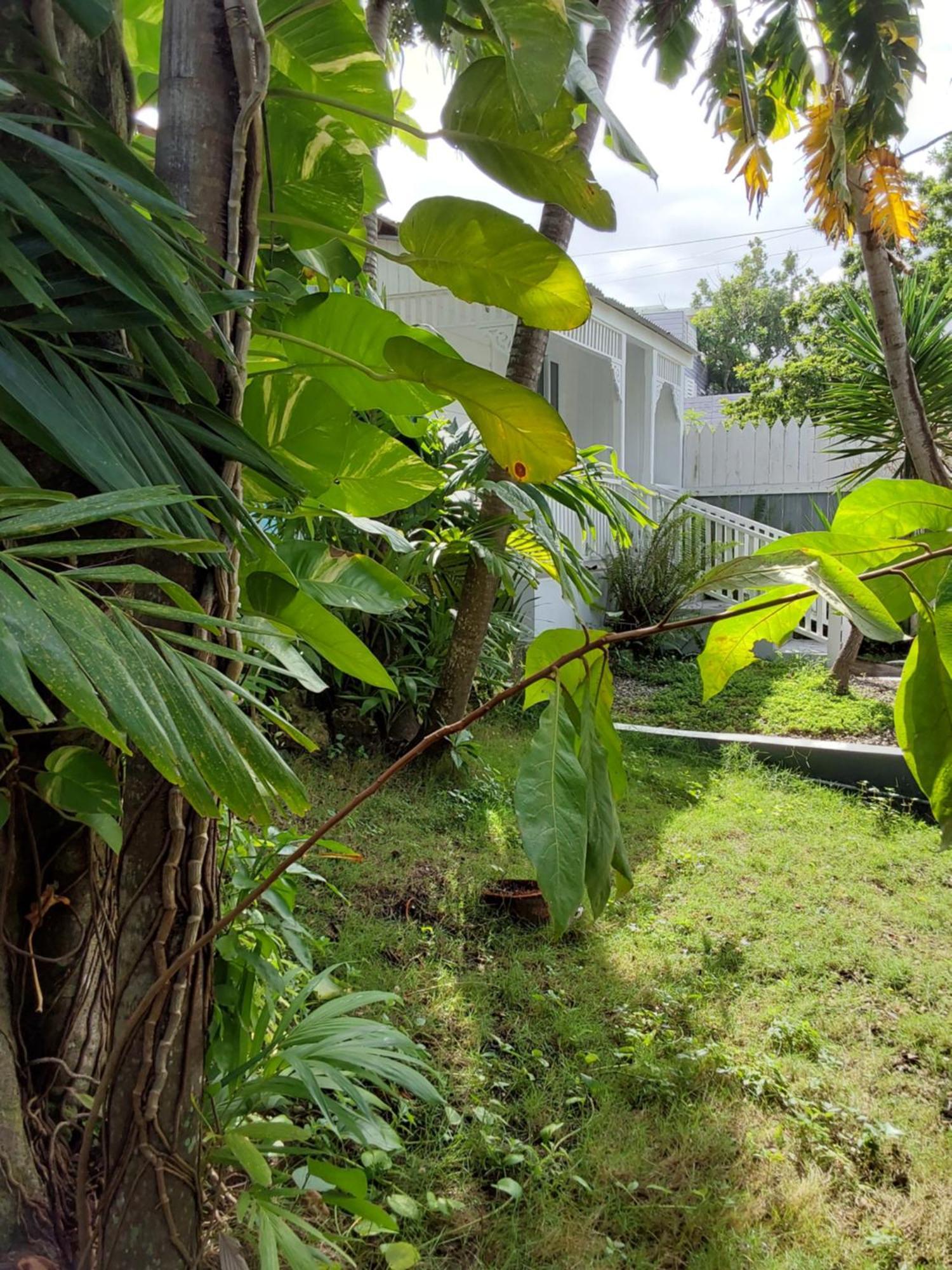 Shades Of Summer Ja Apartment Negril