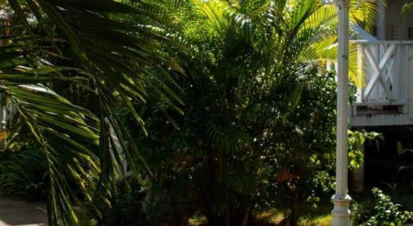 Hotel Merrils Deluxe Negril