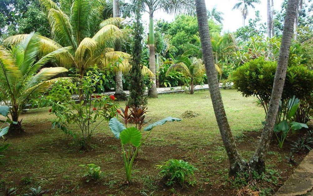 Hotel Pure Garden 3*