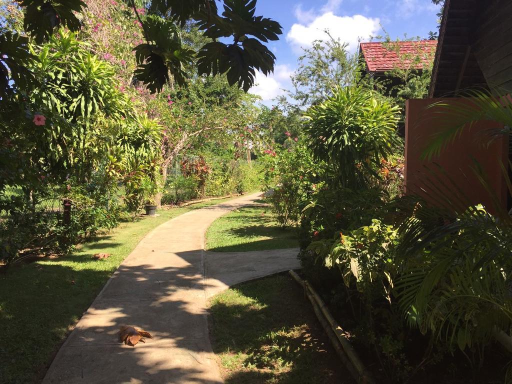 Firefly Hotel 4*