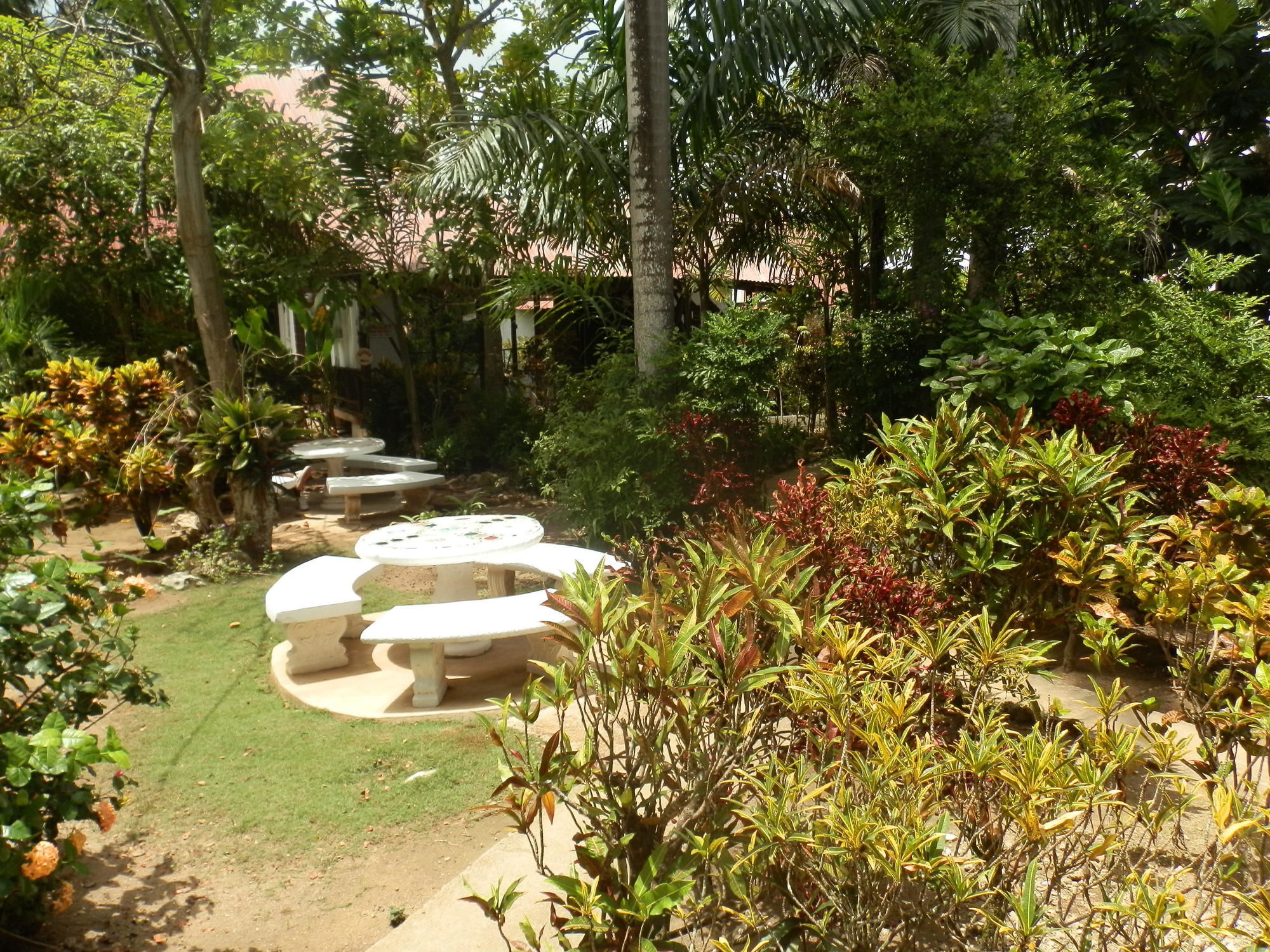 At Yoga Center Negril
